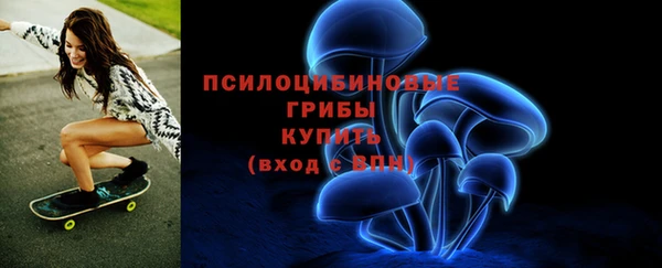 твердый Володарск