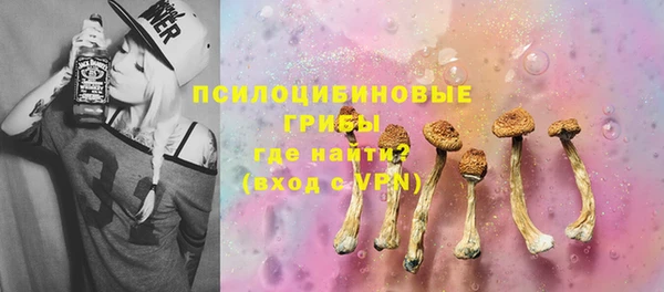 apvp Нязепетровск