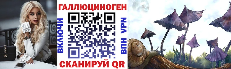 Псилоцибиновые грибы MAGIC MUSHROOMS  Задонск 